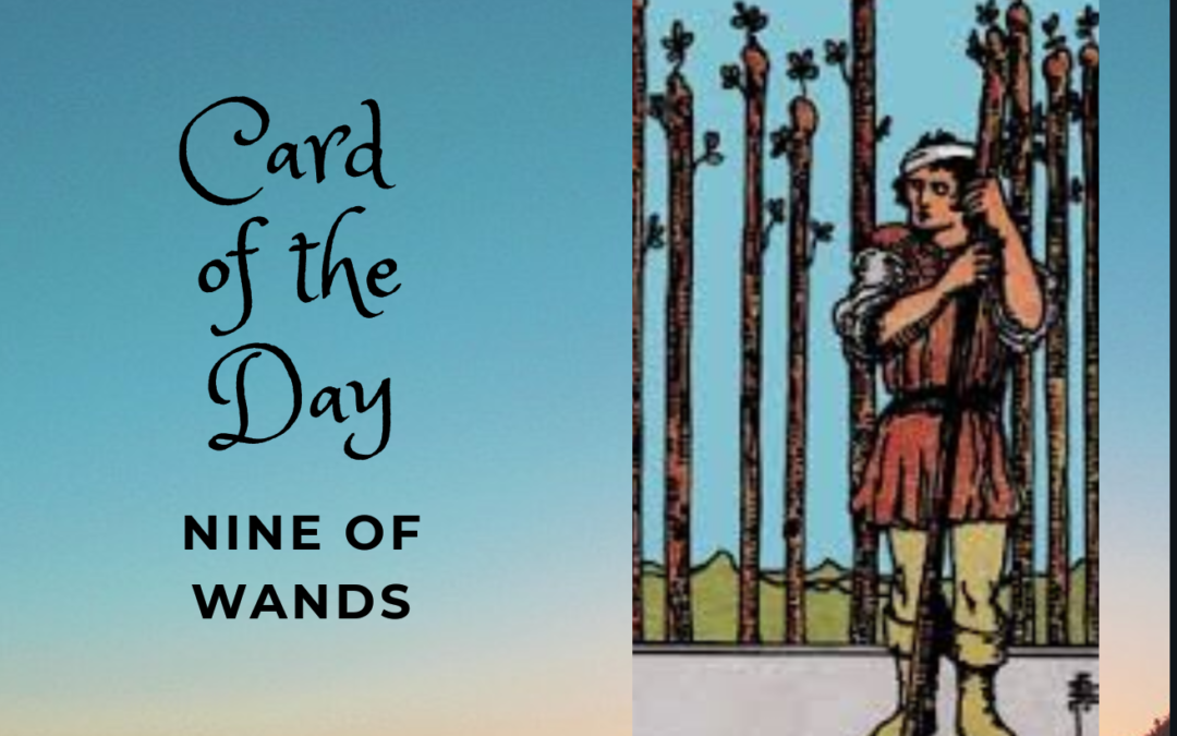 Nine of Wands Daily Card